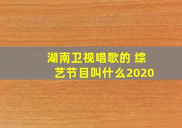 湖南卫视唱歌的 综艺节目叫什么2020